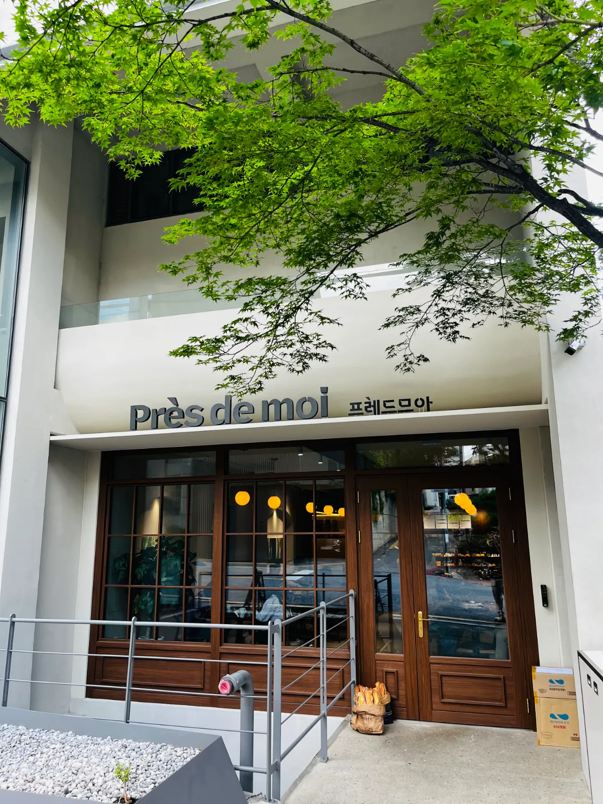 青もみじに囲まれた店先
